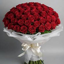 Букет 101 Красная роза Блэк Мэджик в Хрущево