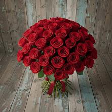 Букет 55 Красных роз Фридом #REPLACE_PRED# Хрущево