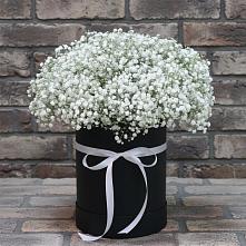 Цветочная композиция из Гипсофила в шляпной коробке в Хрущево