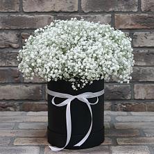 Цветочная композиция из Гипсофила в шляпной коробке в Хрущево