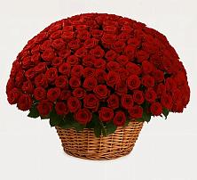 Премиум букет из: Розы в Хрущево