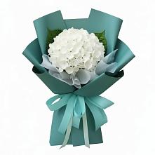 Букет цветов из:  Гортензия #REPLACE_PRED# Хрущево